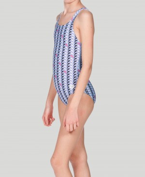 Μαγιό Arena Dolphin Youth Swim Pro Back για κοριτσια γκρι | 22590993