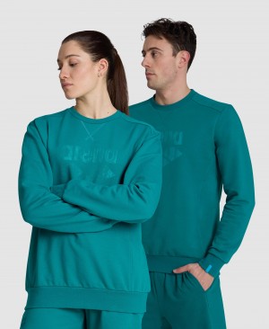 Φούτερ Arena Logo Crewneck γυναικεια τυρκουάζ | 89633464