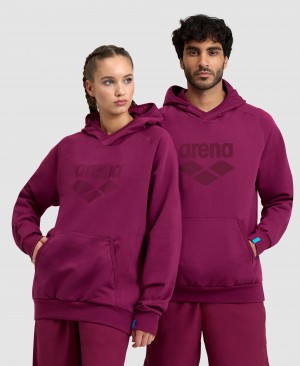 Φούτερ Arena Logo Κουκουλοφόρος ανδρικα μωβ | 47475879