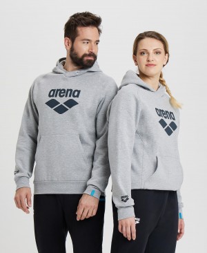 Φούτερ Arena Logo Κουκουλοφόρος ανδρικα γκρι | 89806888