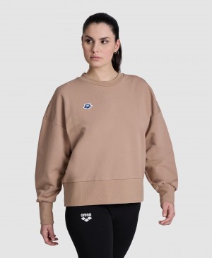 Φούτερ Arena Oversized Crew Neck γυναικεια καφε | 28008793