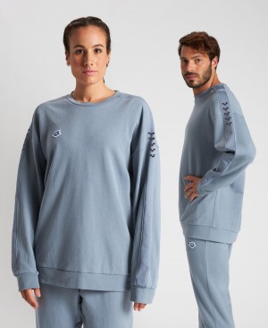 Φούτερ Arena Oversized Team ανδρικα γκρι | 39166503