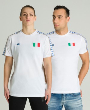 μπλουζακια Arena Team Nations ανδρικα ασπρα | 77366763