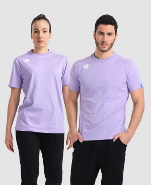 μπλουζακια Arena Team Panel ανδρικα λεβάντα | 69686398