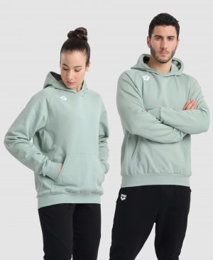 Φούτερ Arena Team Κουκουλοφόρος Panel ανδρικα γκρι | 4975647
