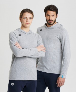 μπλουζακια Arena Team Κουκουλοφόρος Panel ανδρικα γκρι | 64131334