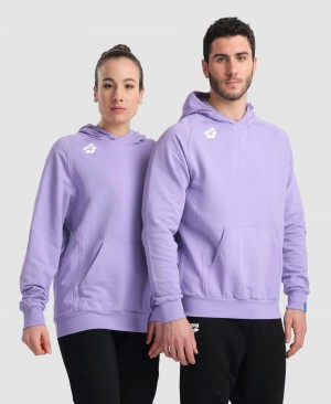 Φούτερ Arena Team Κουκουλοφόρος Panel ανδρικα λεβάντα | 75697570