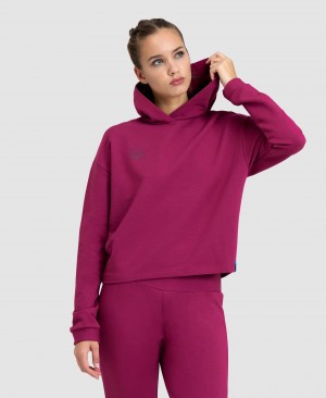 Φούτερ Arena Κουκουλοφόρος Fleece γυναικεια μωβ | 9899264