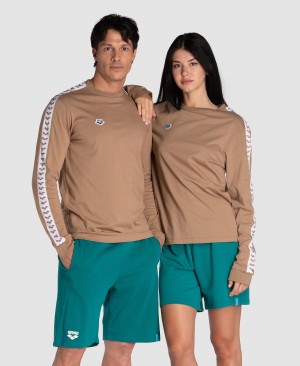 Μακρυμάνικο πουκάμισο Arena Icons γυναικεια καφε | 66591043