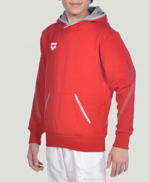 Φουτερ με Κουκουλα Arena Team Line L/S για αγορια κοκκινα | 60777347