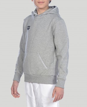 Φουτερ με Κουκουλα Arena Team Line L/S για αγορια γκρι | 98780939